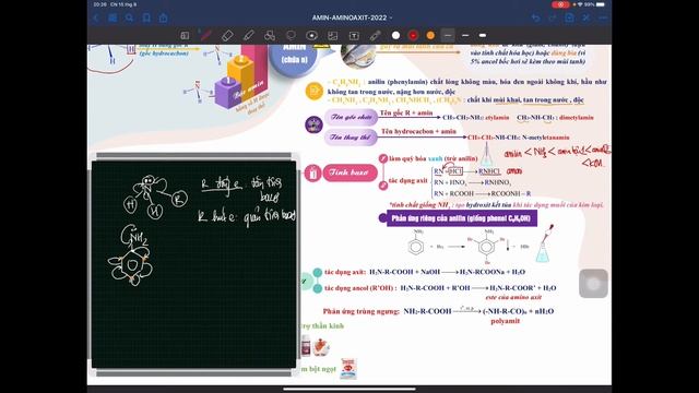 BÀI 7: BÀI GIẢNG LÝ THUYẾT AMIN - AMINO AXIT