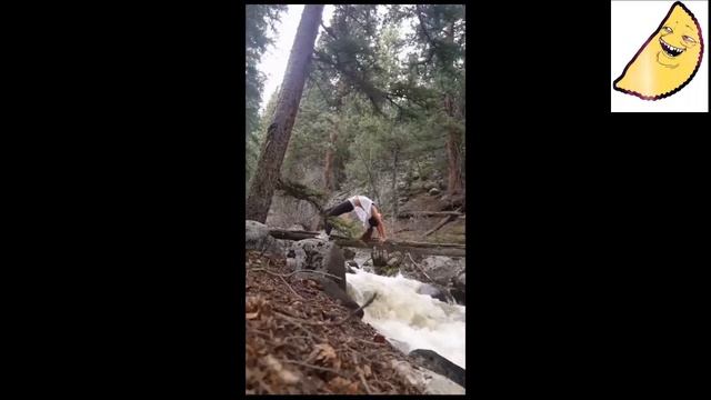 Подборка лучших видео приколов недели🤣🤣🤣