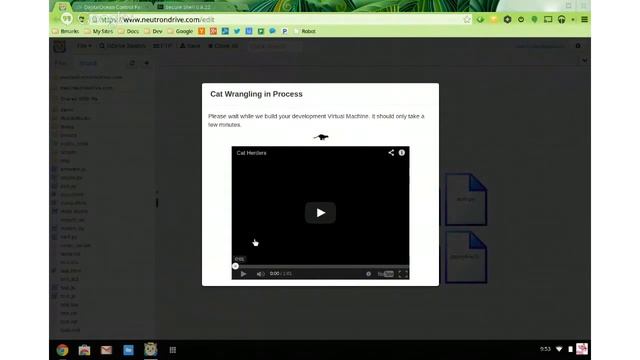 Introduction to the Neutron Drive Cat Ranch