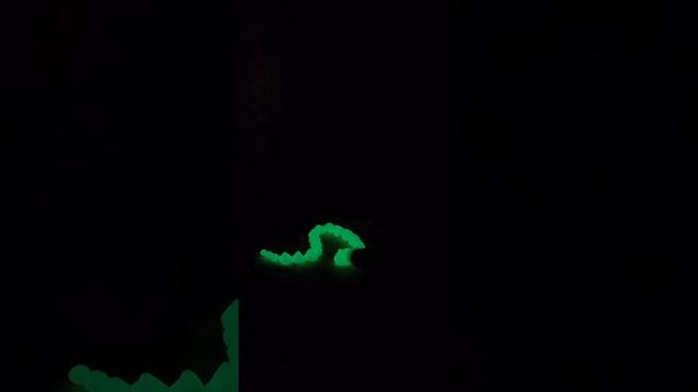 1000029323.mp4
