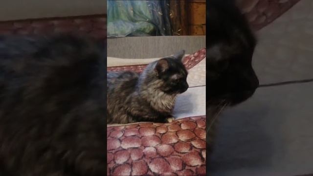 1000006514.mp4