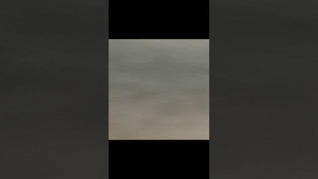 IMG_5431