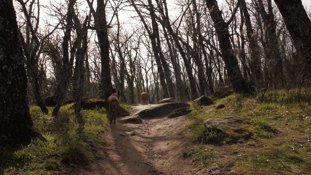 4066064-hd_1920_1080_25fps