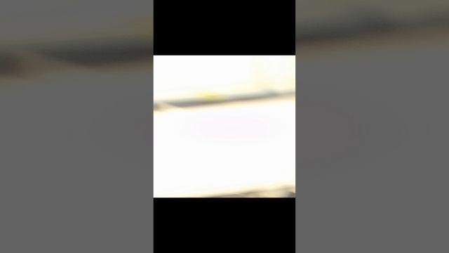 1000001332.mp4