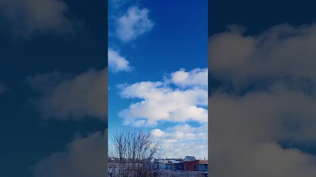 1007099228.mp4