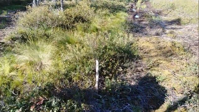 В закрытое село Нёнокса без пропуска! Плот из подручных средств.