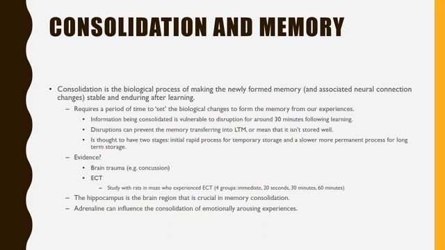 Neural Basis Part 4: Role of Glutamate and Adrenaline
