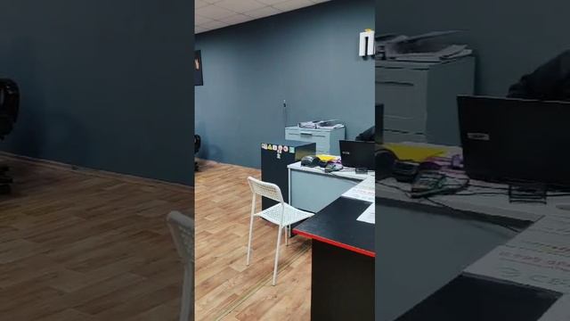 Плюшки в машину