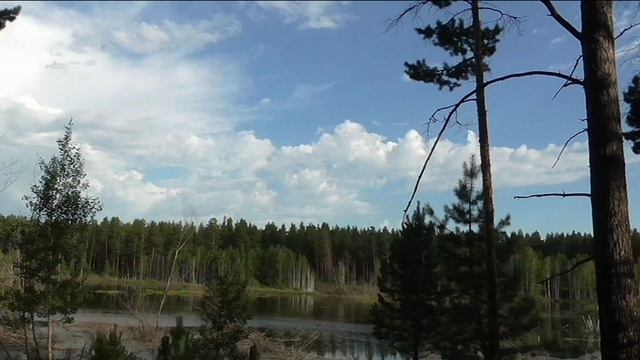 Прогулка в лес, загадочное гнездо и два озера неподалеку.