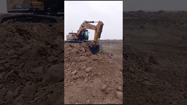 VID-20240308-WA0001.mp4
