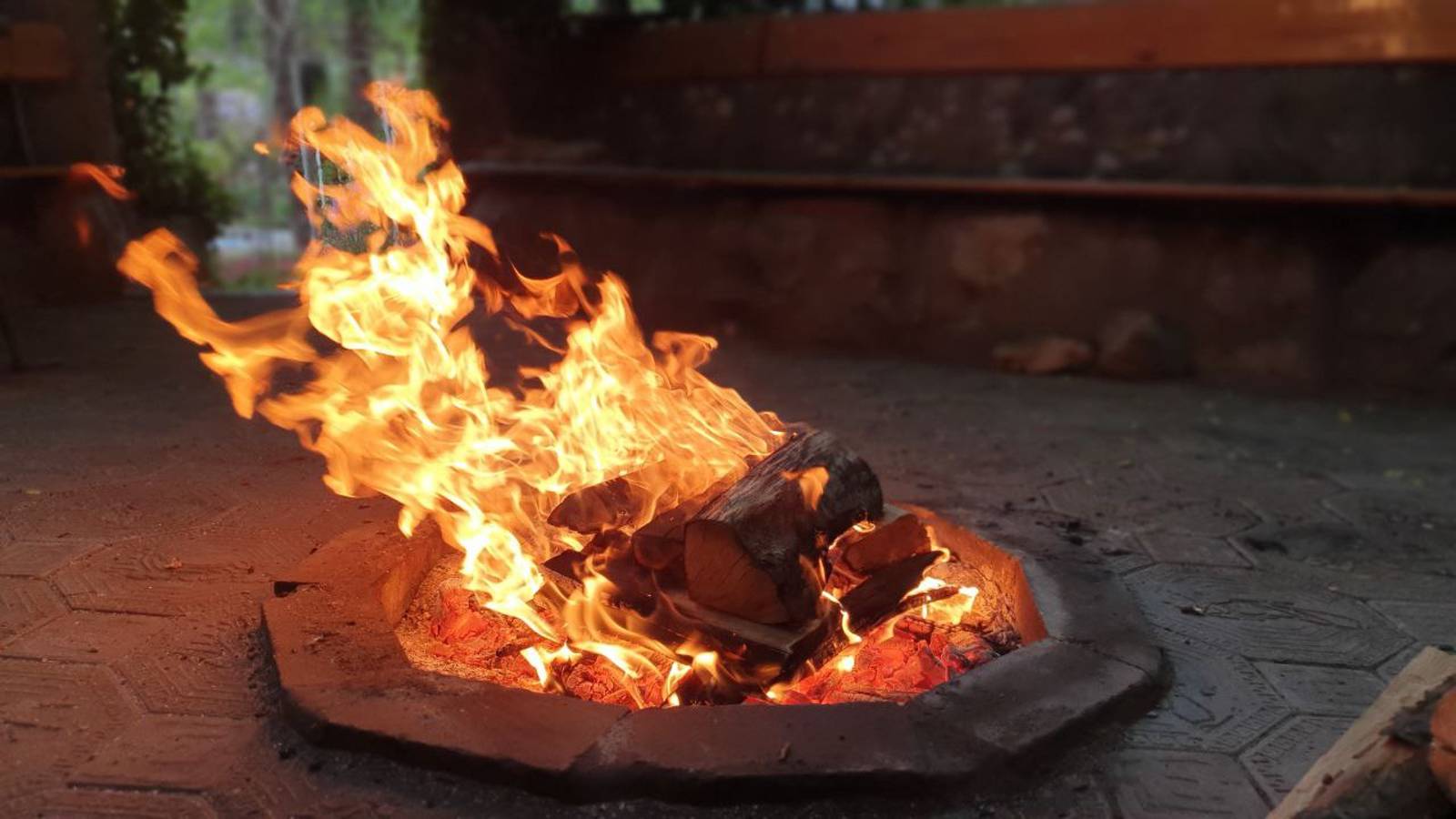 Песенная Медитация 12.11.2024