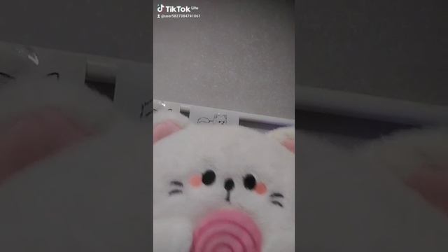 1000038495.mp4