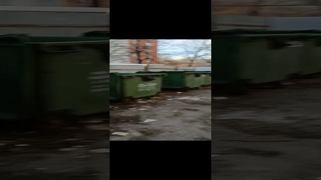 1000015603.mp4