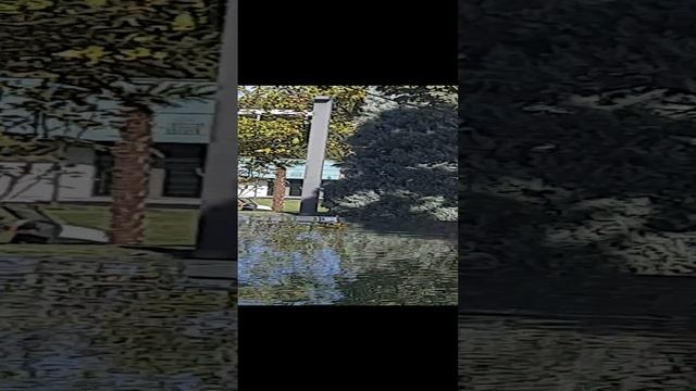 Счастье живет рядом с нами