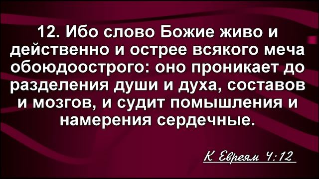 Не ЗАВОДИТЕ в себе КВАДРОБЕРА __ Владимир Плугатарев _ Христианские проповеди