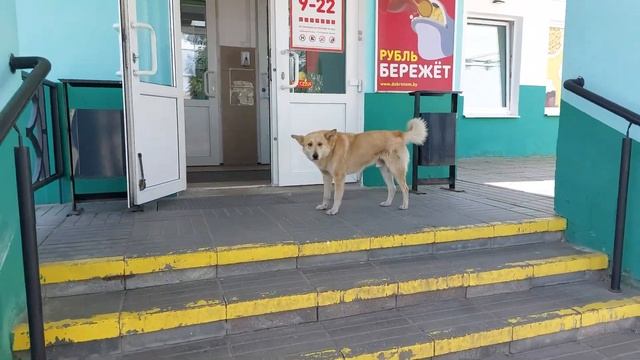 День Защиты ДЕТЕЙ! 16ч. 1 июня 2023г. Березино.