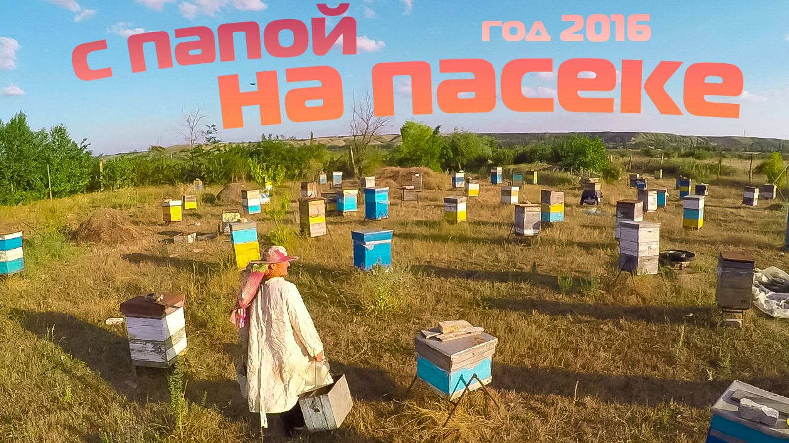 С папой на пасеке. 2016 год