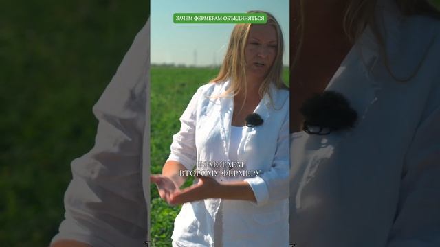 Зачем фермерам объединяться? Кооператив фермеров попал на полки супермаркета. Своя еда #фермерство