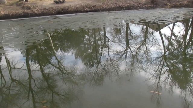 Рыбалка на базе Лист в Запорожье в серидине марта