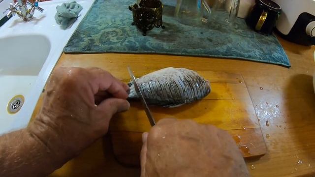 Тонкости при нарезке и жарке карася,которые мало кто знает!   27.07.2024 г.
