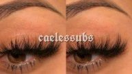 lashserum.ysl