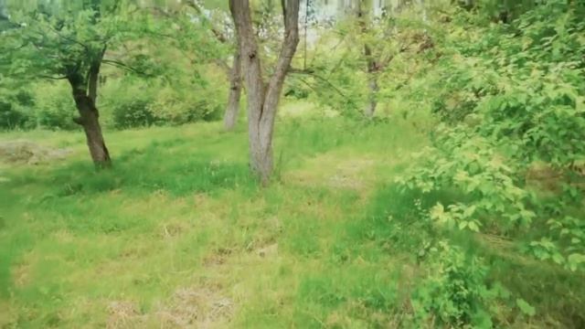 Как превратить 7 км пути в счастье?