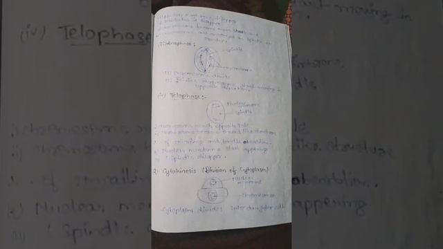 Class 11 cbse ncert CELL CYCLE & CELL DIVISION full notes 2022 chapter 10 BIOLOGY All topics
