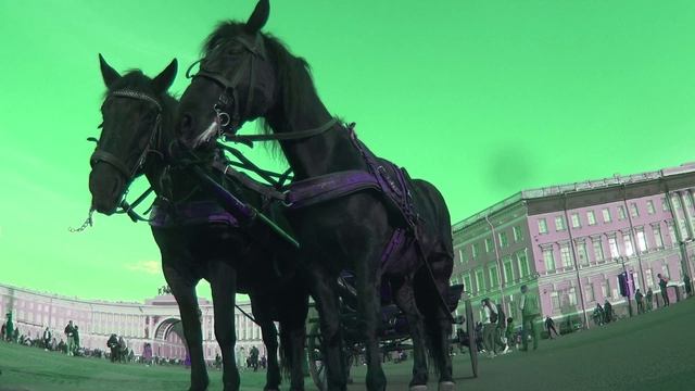 СТАРИКИ - Михаил Крутихин | Official video |