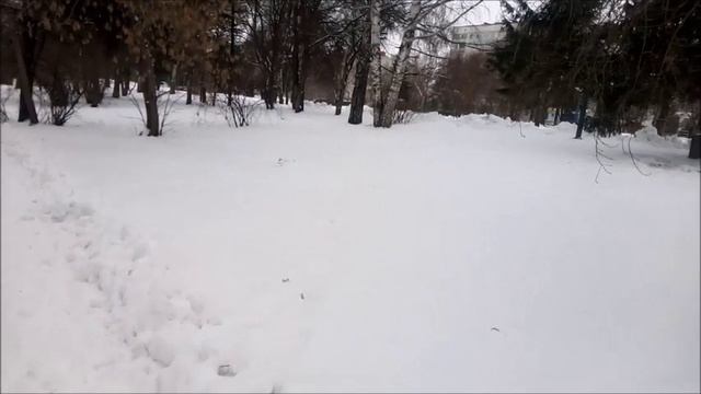 Савин-Виталий- И закружемся Вальсе.