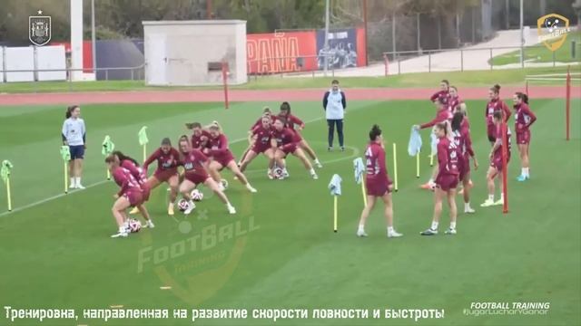 Тренировка, направленная на развитие скорости ловкости и быстроты