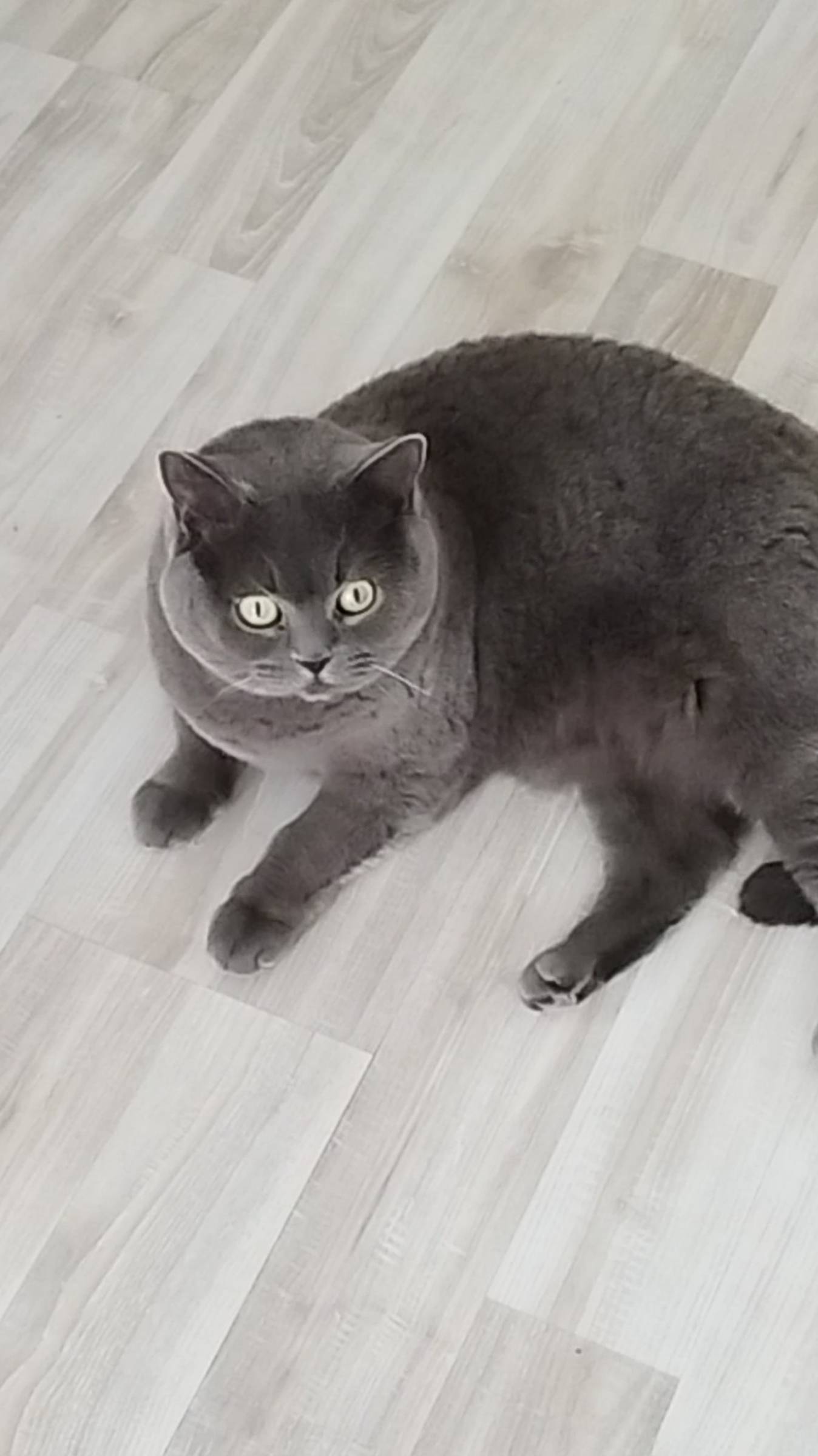 Манефа-мамина любофф