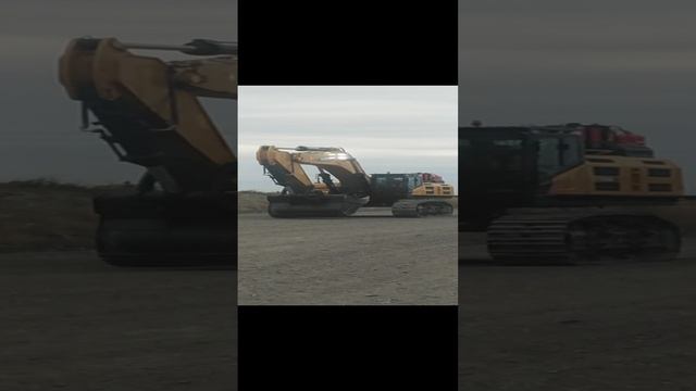VID_20241001_104646.mp4
