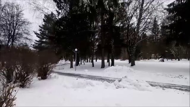 Савин-Виталий- Ты лучшая.