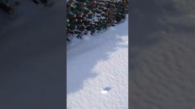 1000103088.mp4