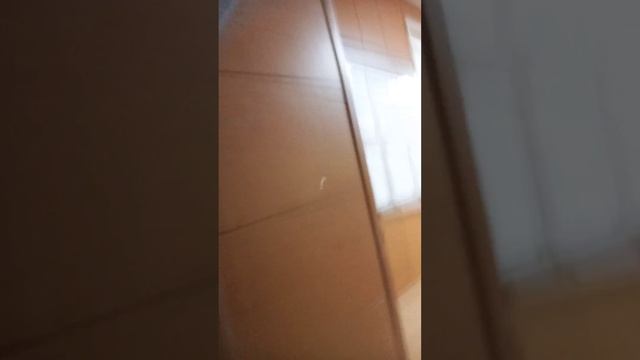 20201118 Белореченский беспредел! (ч.2) День двадцать третий!