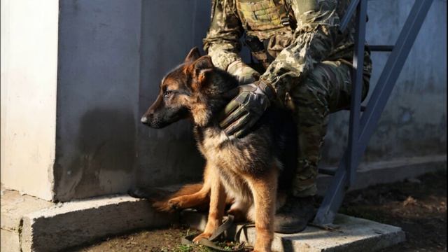Экс-разведчик США раскрыл, когда наступит переломный момент для Украины