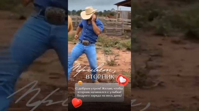#доброеутро  #вторник