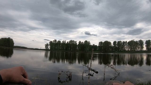 Выезд на ПРИРОДУ к воде! Игривая ТАКСА-аборигенка! _) Лето 2021 г.