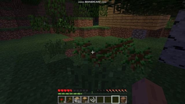 Bandicam 2024-10-29 18-41-40-084