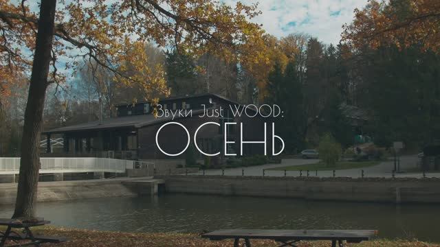 Звуки Just WOOD. Осень