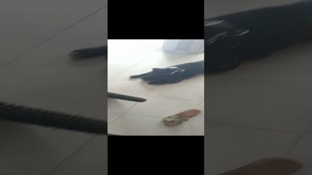 VID-20210530-WA0007.mp4