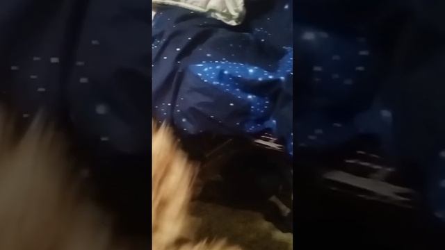 кролик учитель #1 оригинал