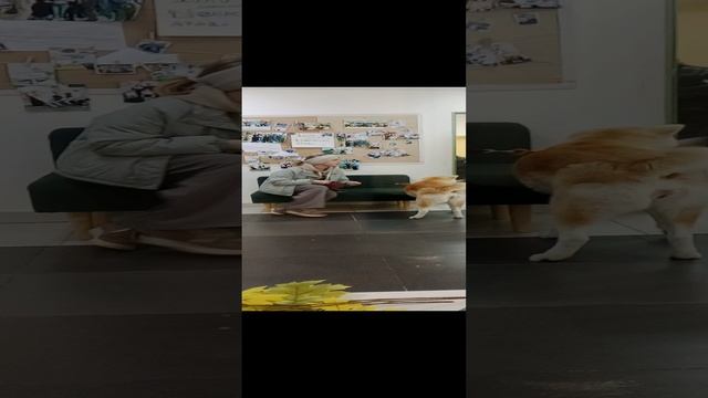 В нашей школе