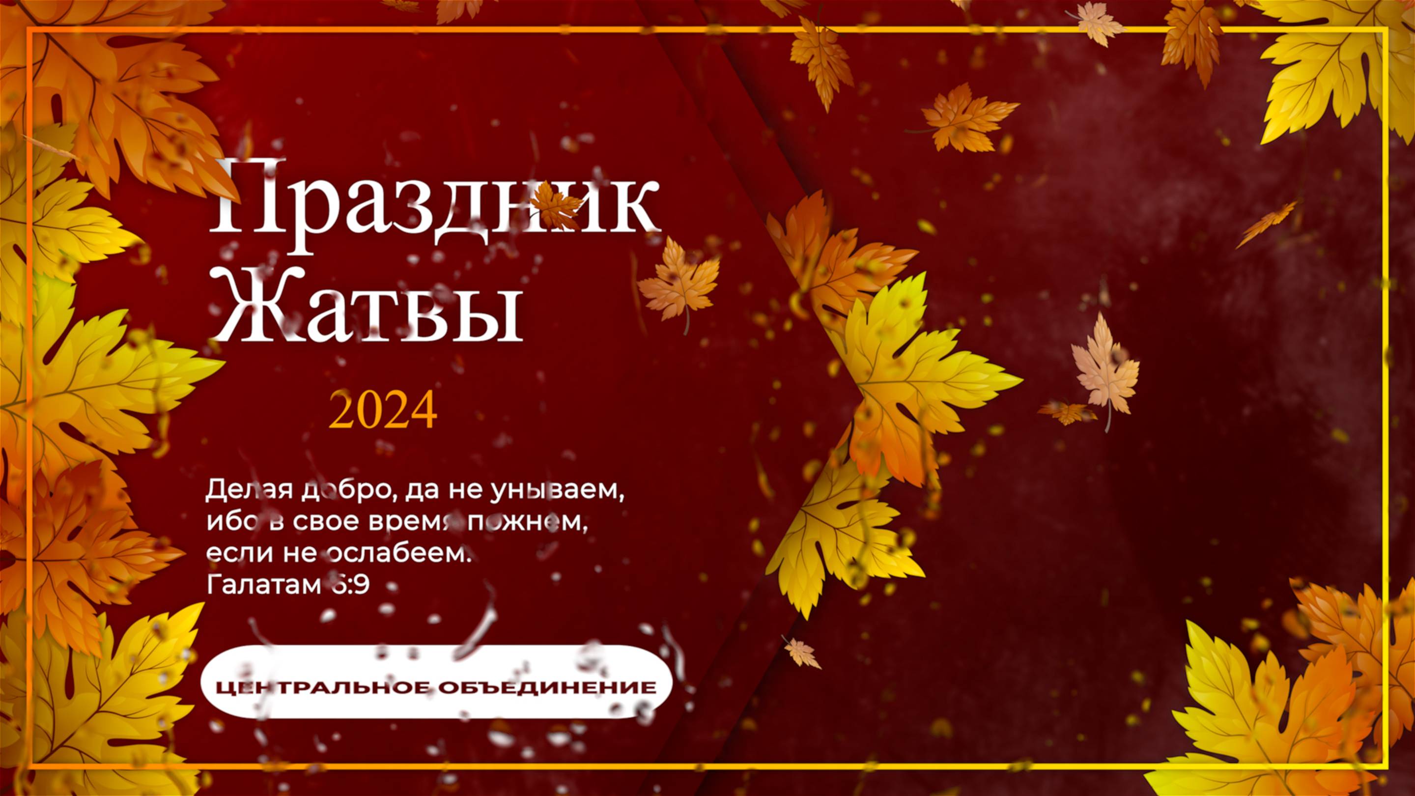 Жатвенный концерт ЦО 2024