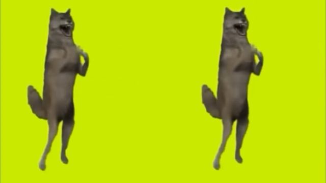 волк танцует     the wolf dances