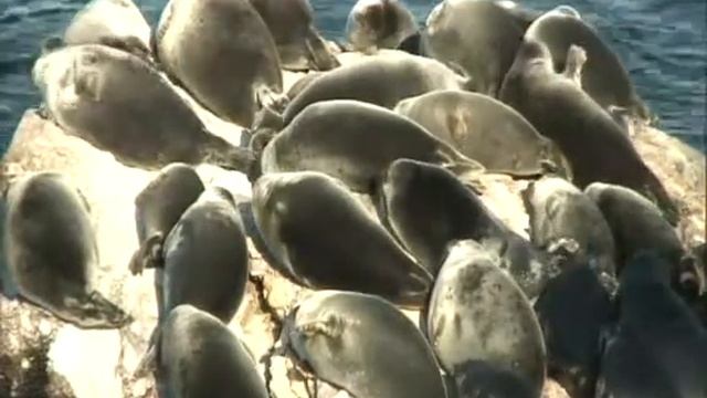 2011 год. Октябрь №7