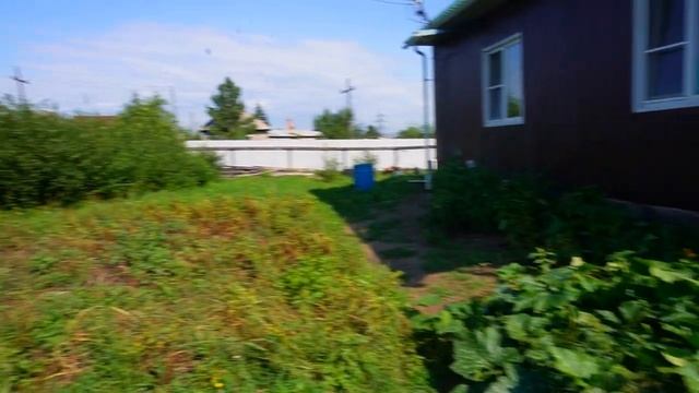 Мама приготовила медовые яблоки и стручковую фасоль с мясом Показываю сколько картошки я накопал