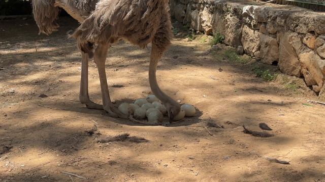 17683688-uhd_3840_2160_30fps