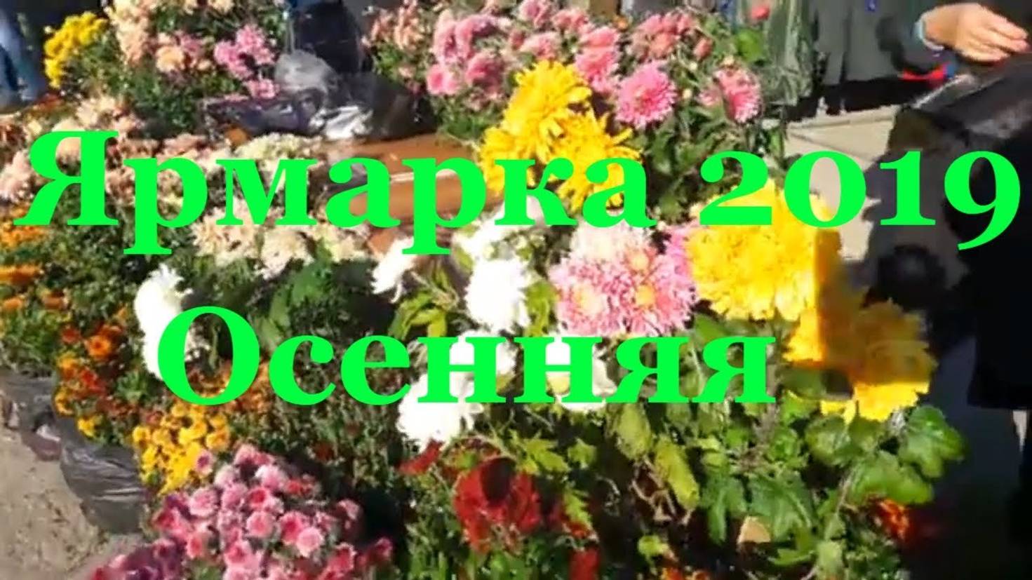 Ярмарка осенняя _ Палкино 2019