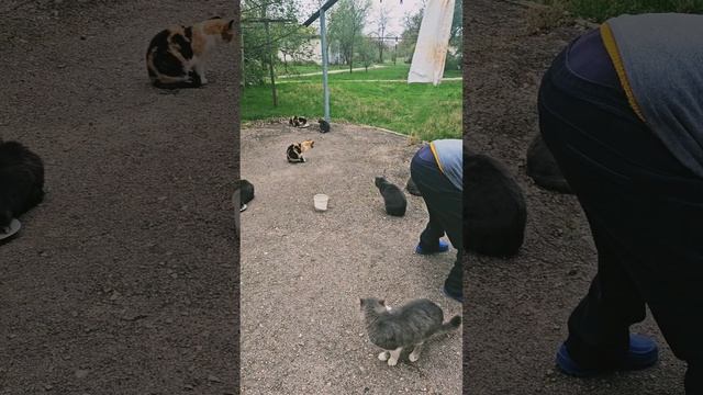 Тётя Галя с севера.У вас есть такие?